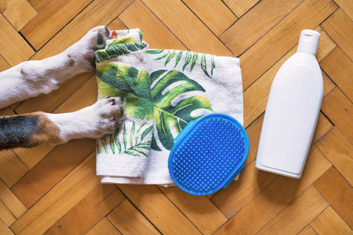 Blue silicone pet deshedding grooming mitt with a towel
