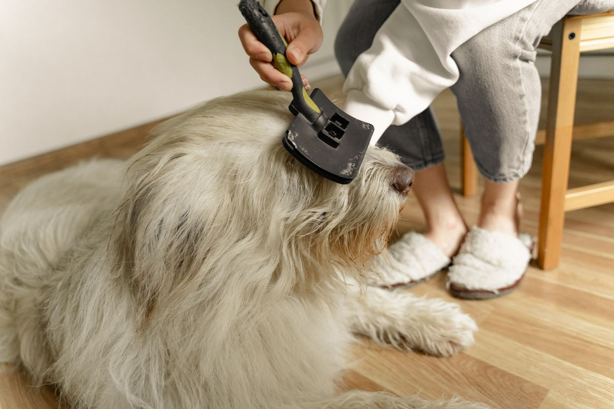 Person grooming a dog's fur with a glove